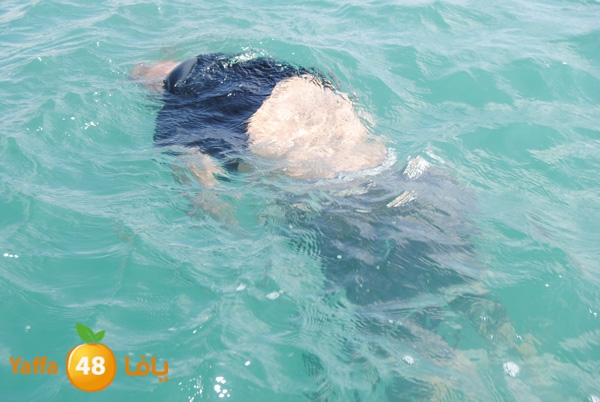 jotha n 717 mina2 (3).JPG